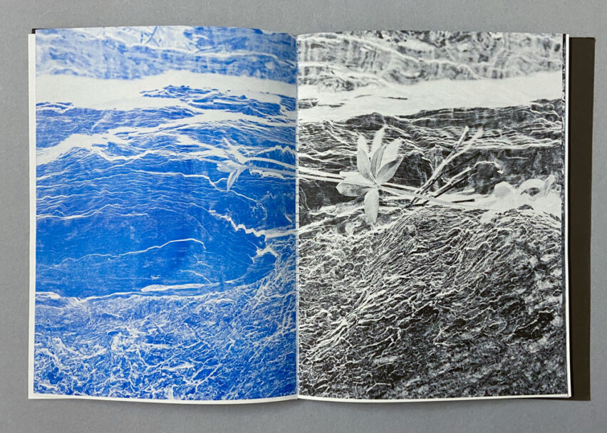 Marta_Scagliusi copia_103