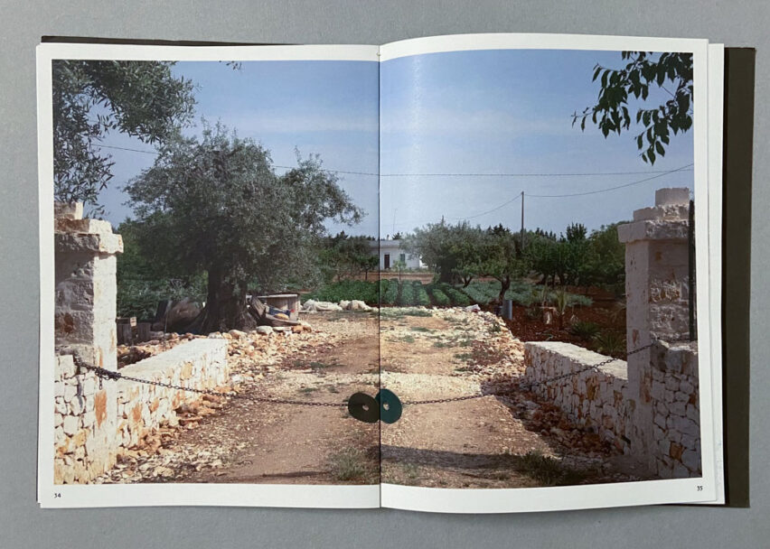 Marta_Scagliusi copia_107