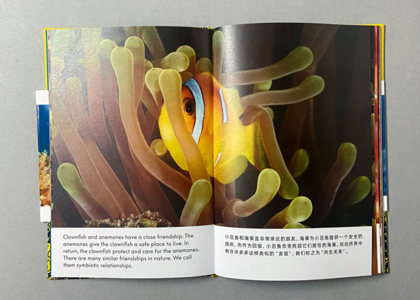 Marta_Scagliusi copia_11