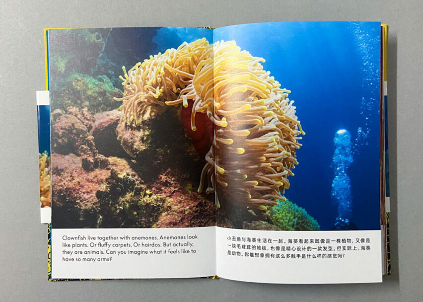 Marta_Scagliusi copia_12