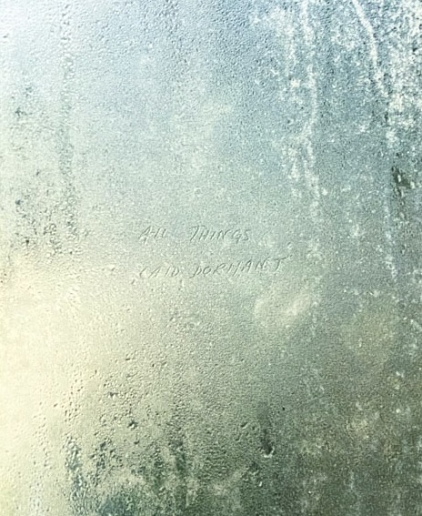 Marta_Scagliusi copia_16 2