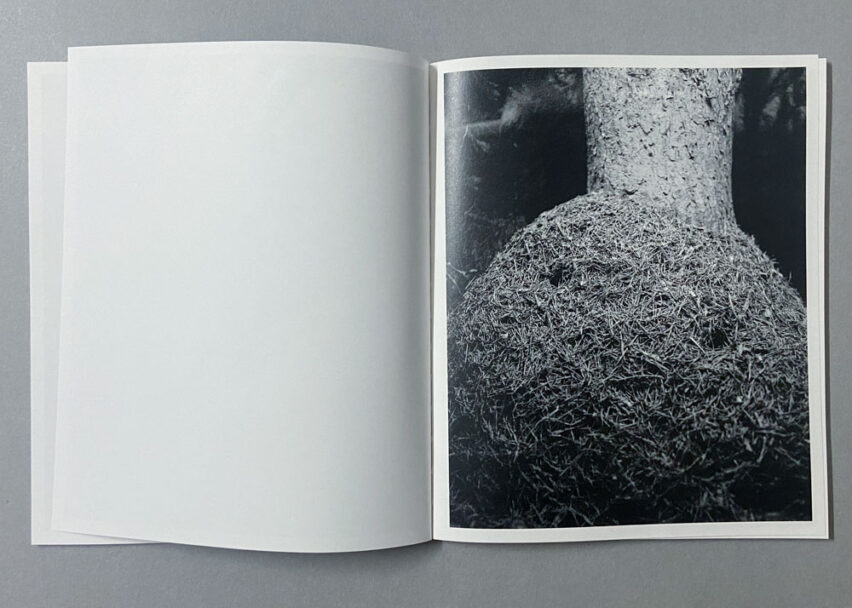 Marta_Scagliusi copia_18