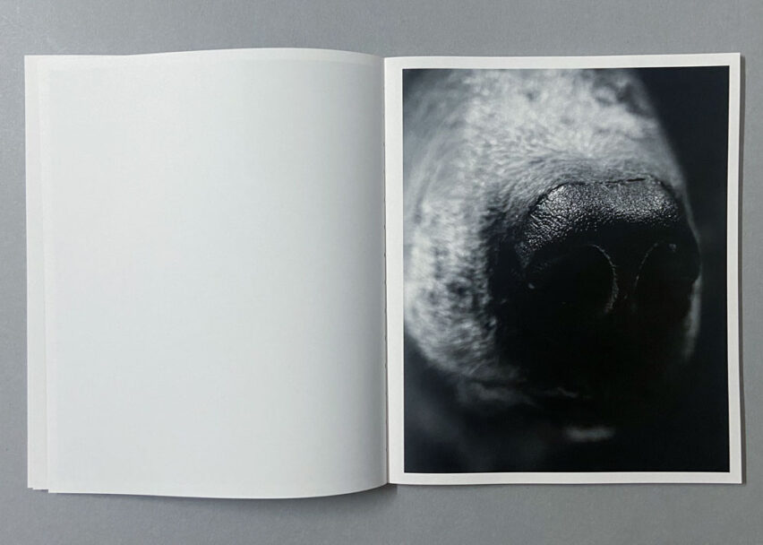 Marta_Scagliusi copia_19