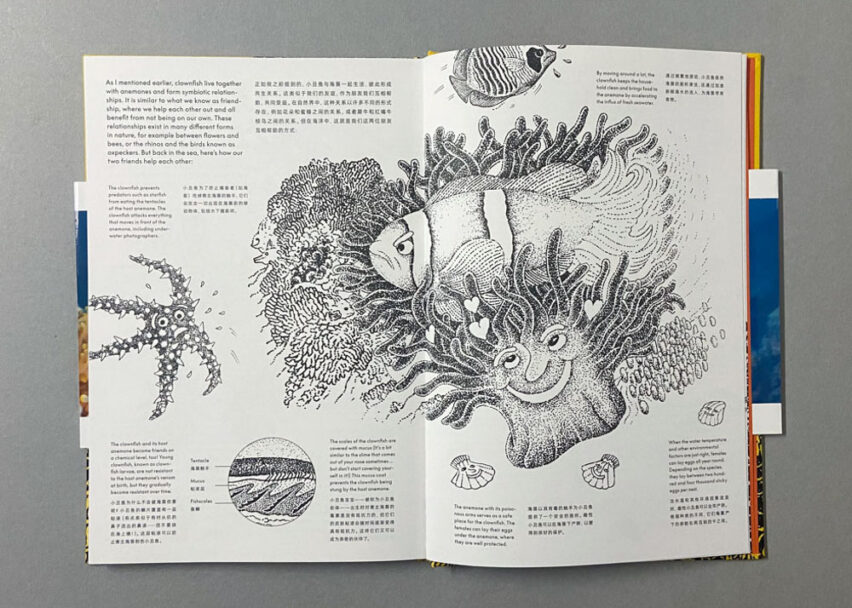 Marta_Scagliusi copia_2