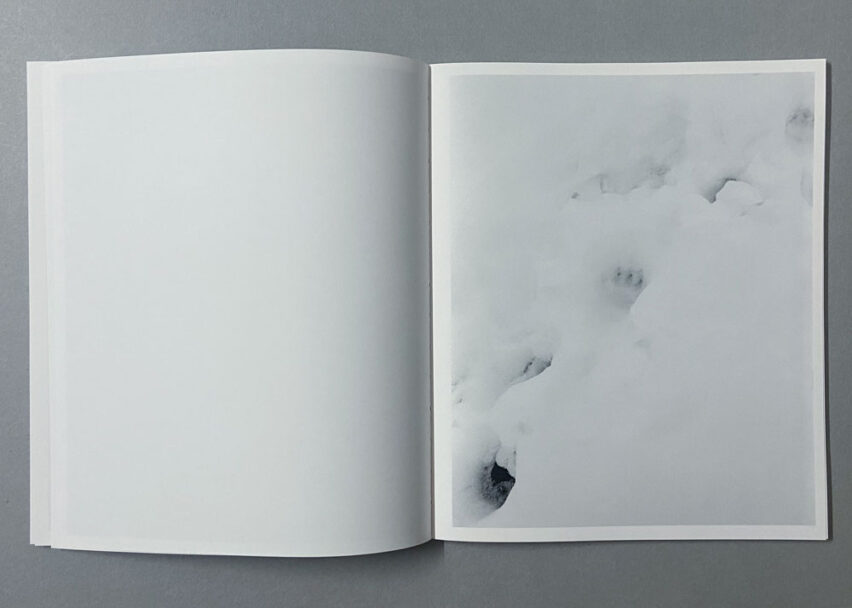 Marta_Scagliusi copia_20