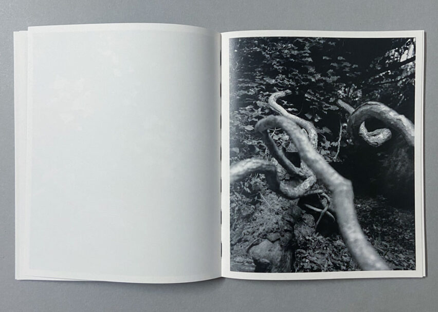 Marta_Scagliusi copia_21