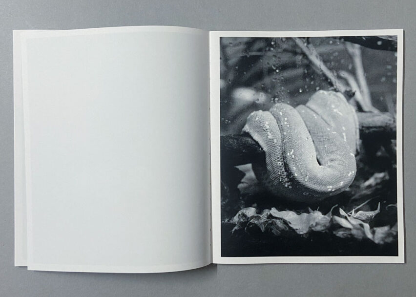 Marta_Scagliusi copia_23