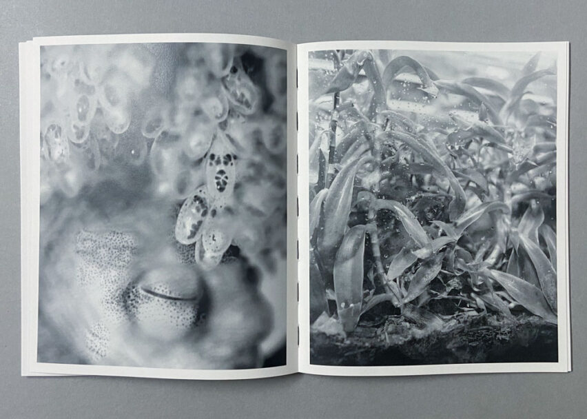 Marta_Scagliusi copia_25