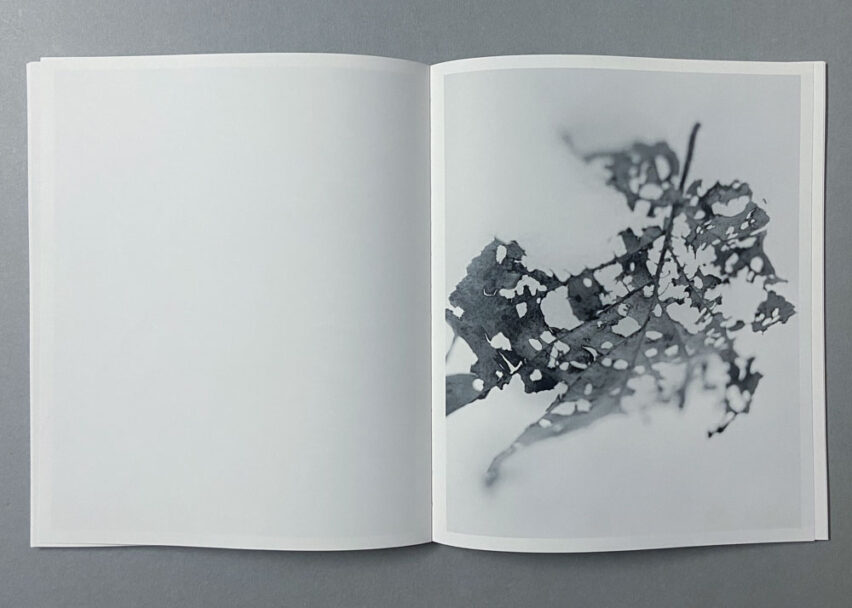 Marta_Scagliusi copia_26