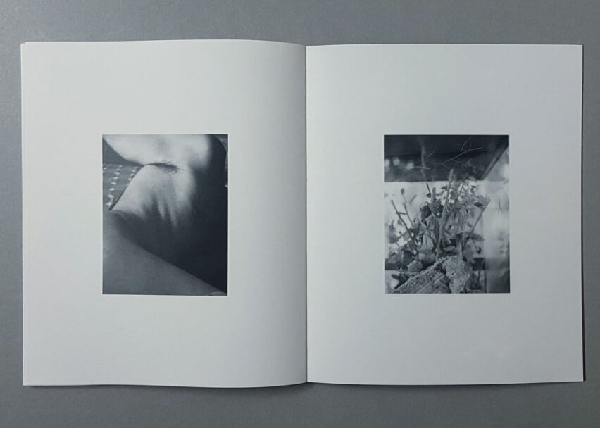 Marta_Scagliusi copia_31