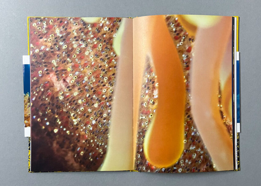 Marta_Scagliusi copia_4