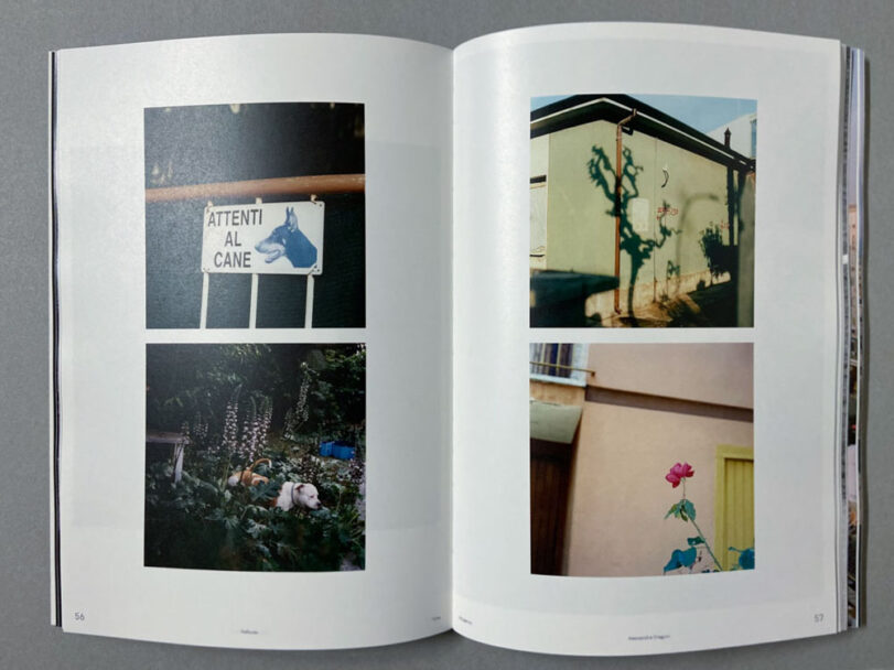 Marta_Scagliusi copia_40