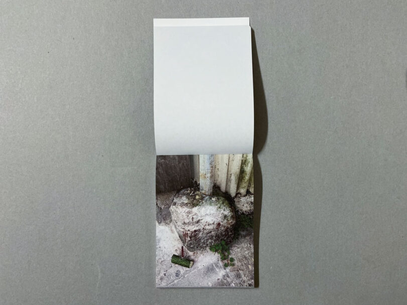 Marta_Scagliusi copia_49