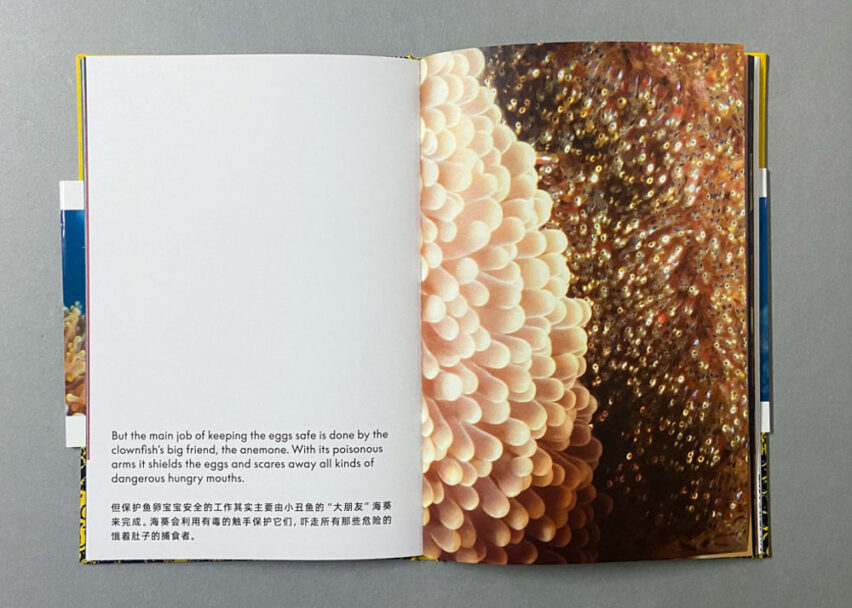 Marta_Scagliusi copia_5