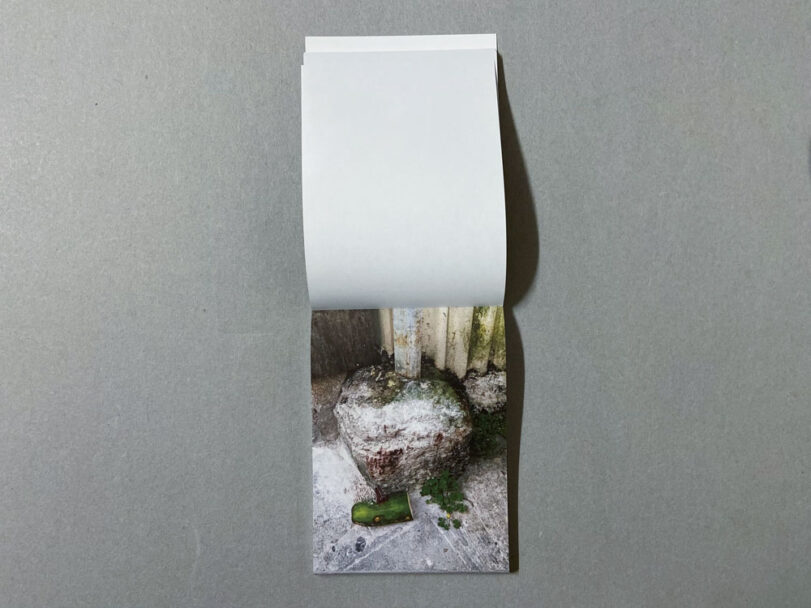 Marta_Scagliusi copia_50