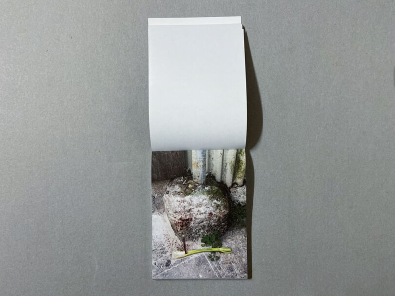 Marta_Scagliusi copia_51