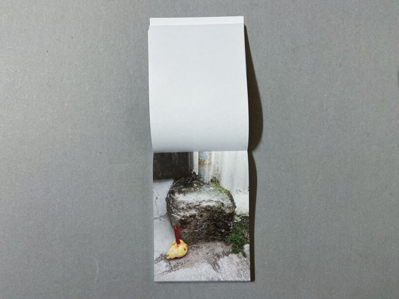 Marta_Scagliusi copia_52