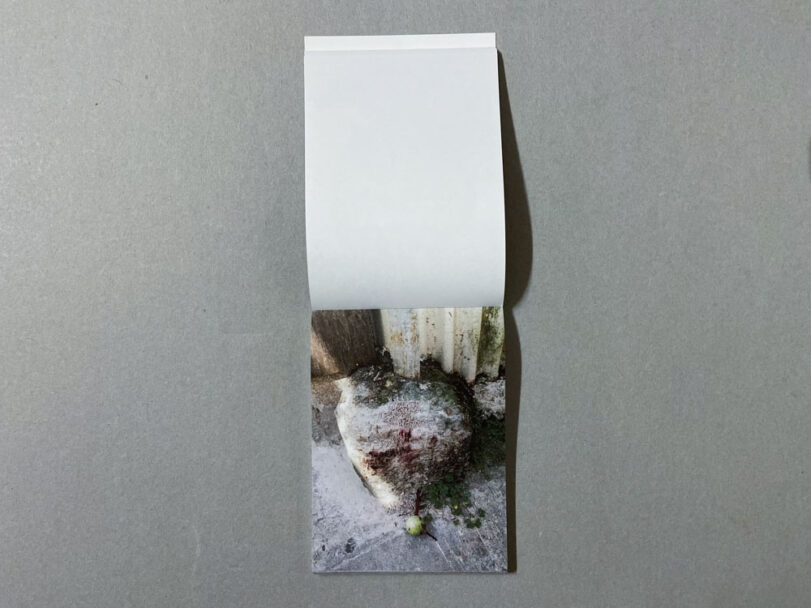 Marta_Scagliusi copia_53