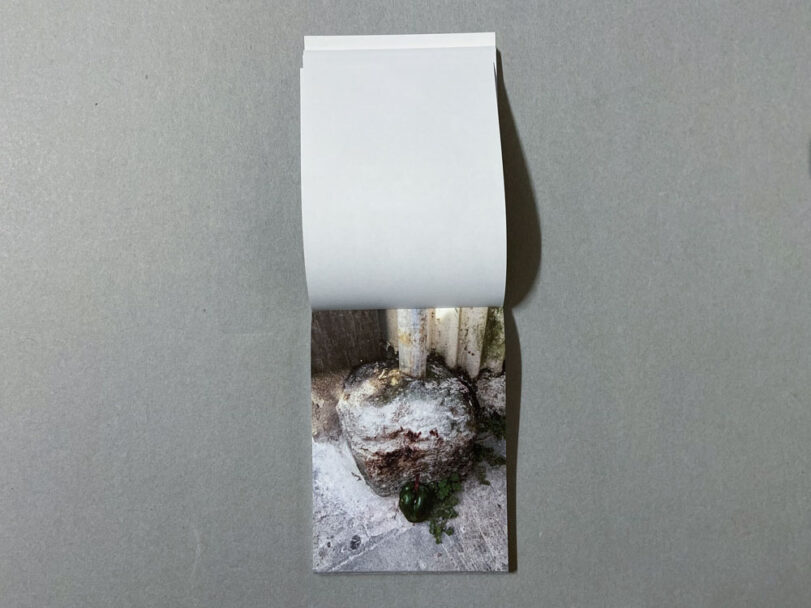 Marta_Scagliusi copia_54