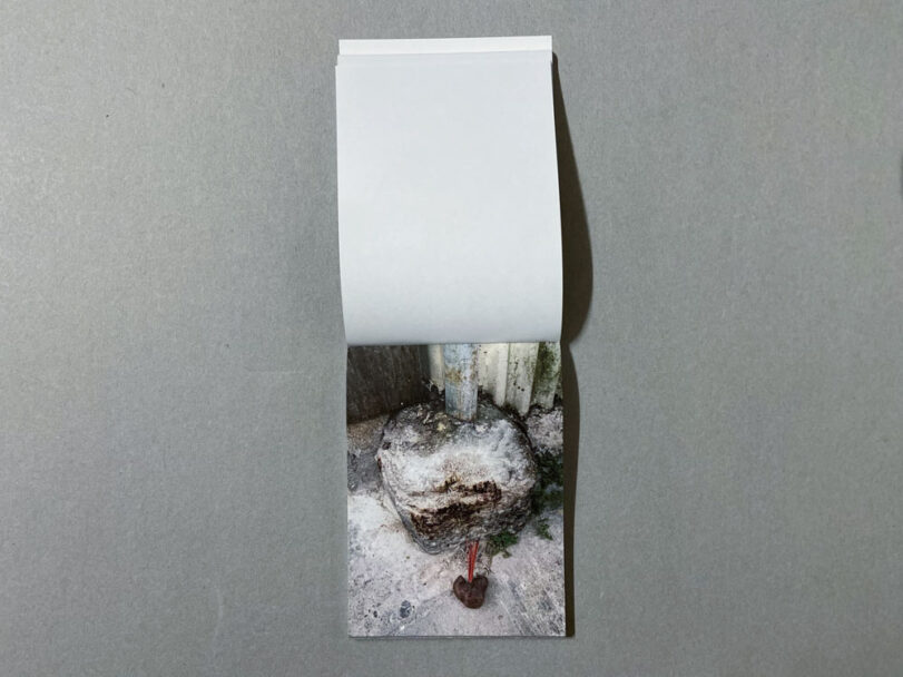 Marta_Scagliusi copia_55