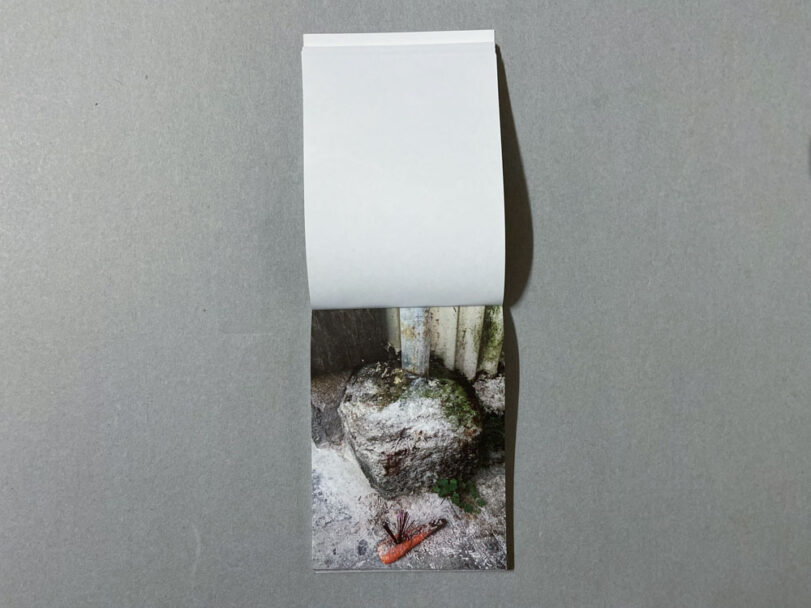 Marta_Scagliusi copia_56