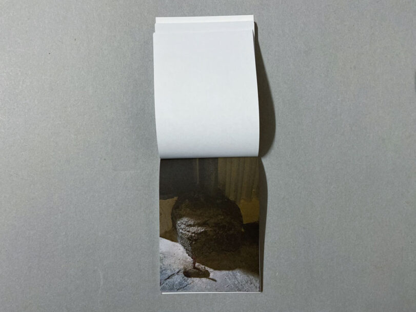 Marta_Scagliusi copia_57