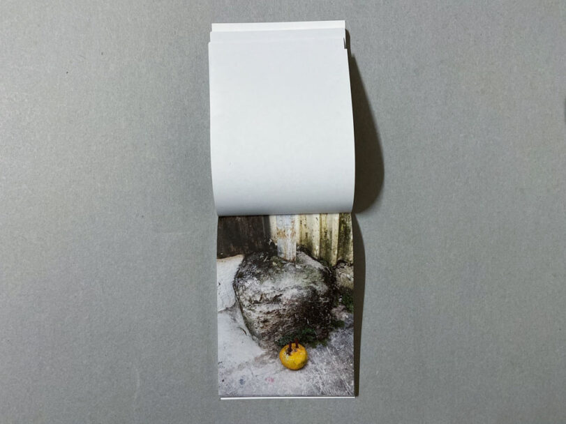 Marta_Scagliusi copia_58