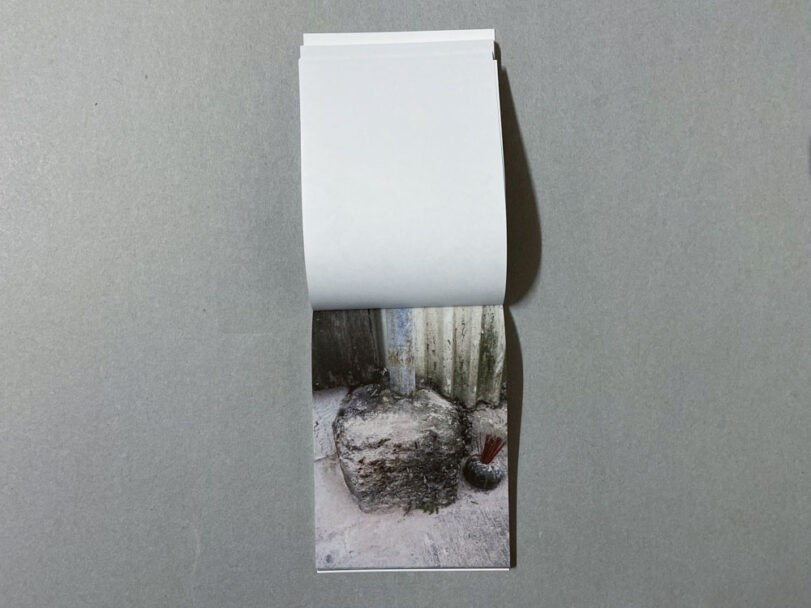 Marta_Scagliusi copia_59