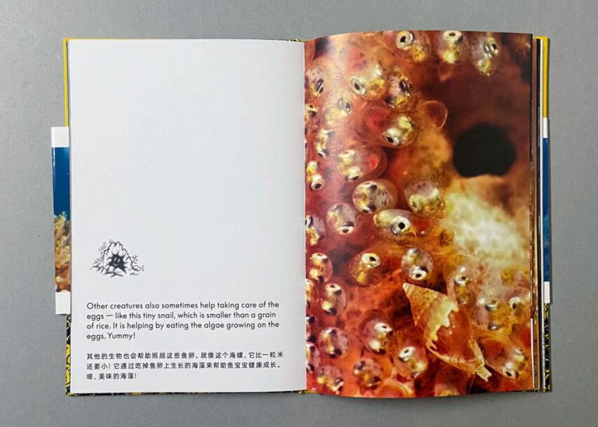 Marta_Scagliusi copia_6