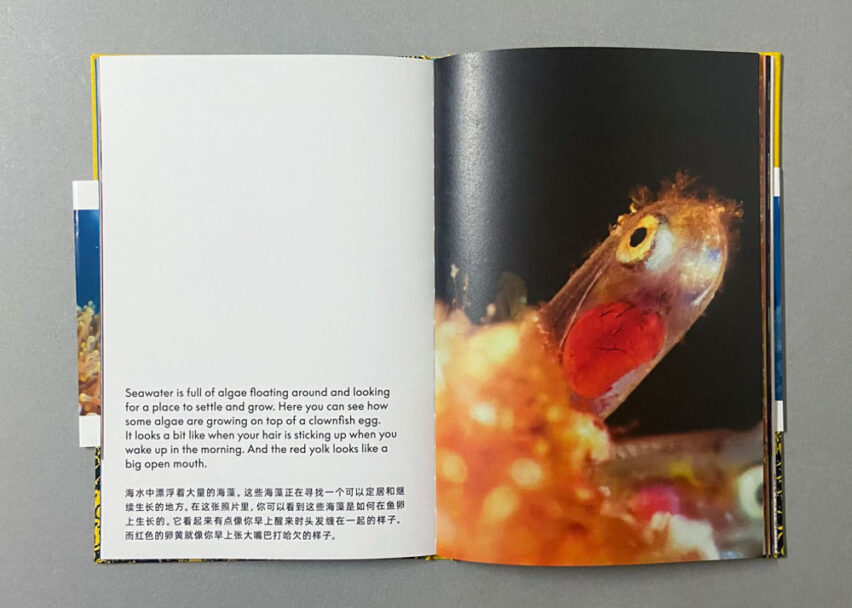 Marta_Scagliusi copia_7