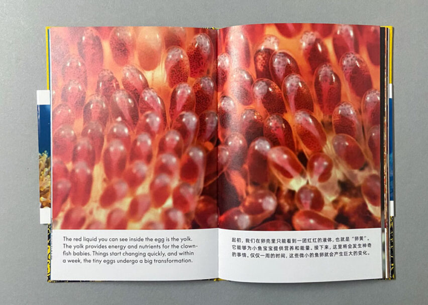 Marta_Scagliusi copia_8