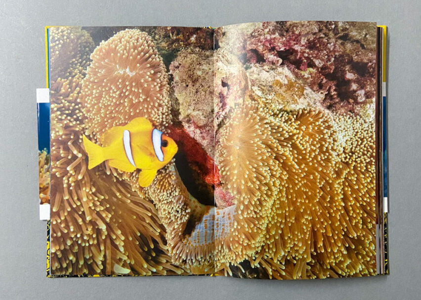 Marta_Scagliusi copia_9