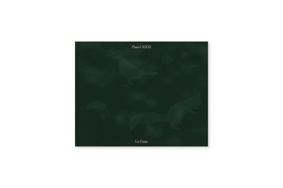 cc_lia-darjes_wildstrucke-1-scaled