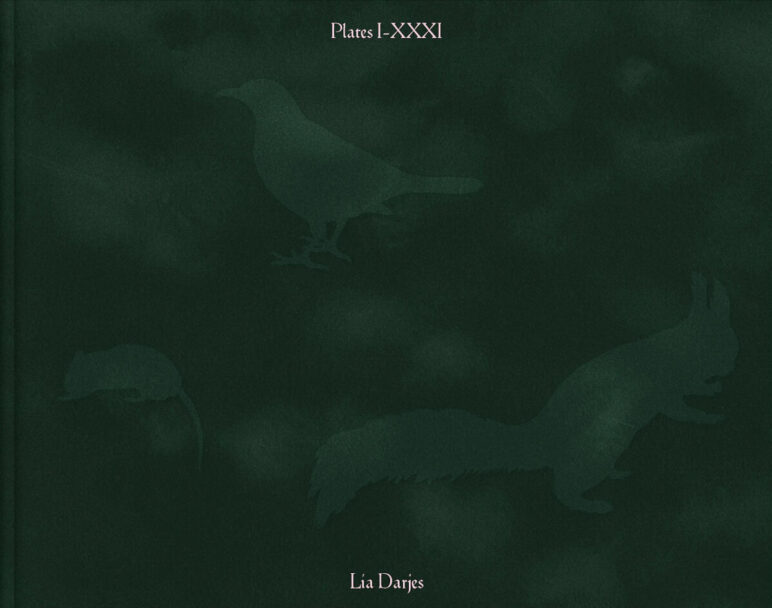 cc_lia-darjes_wildstrucke-1-scaled_1