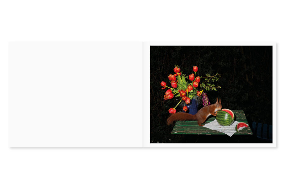 cc_lia-darjes_wildstrucke-10-scaled