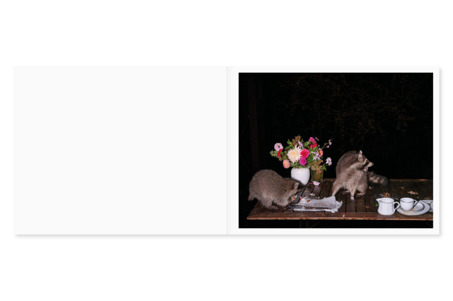 cc_lia-darjes_wildstrucke-11-scaled