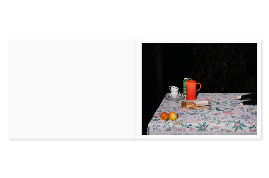 cc_lia-darjes_wildstrucke-3-scaled