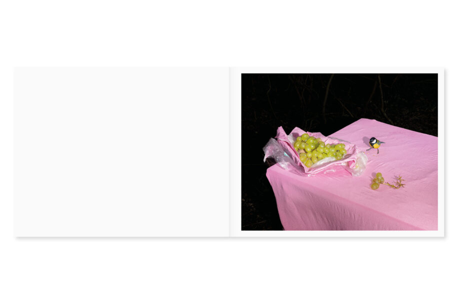 cc_lia-darjes_wildstrucke-4-scaled