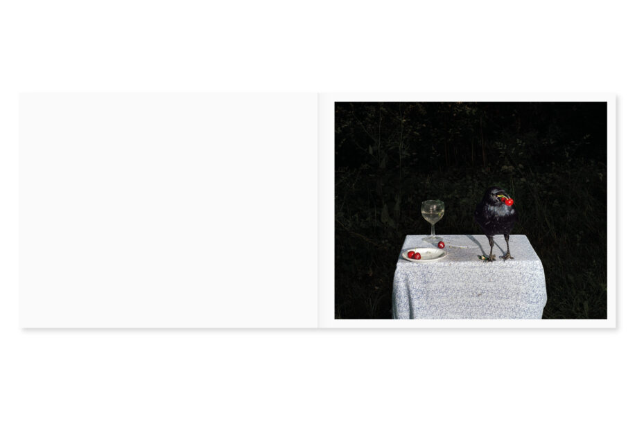 cc_lia-darjes_wildstrucke-5-scaled