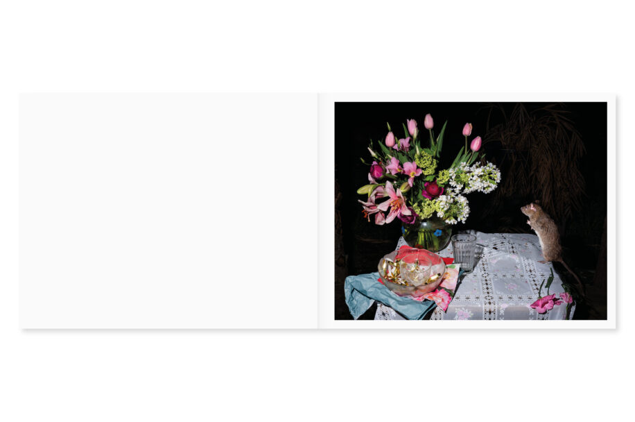 cc_lia-darjes_wildstrucke-6-scaled