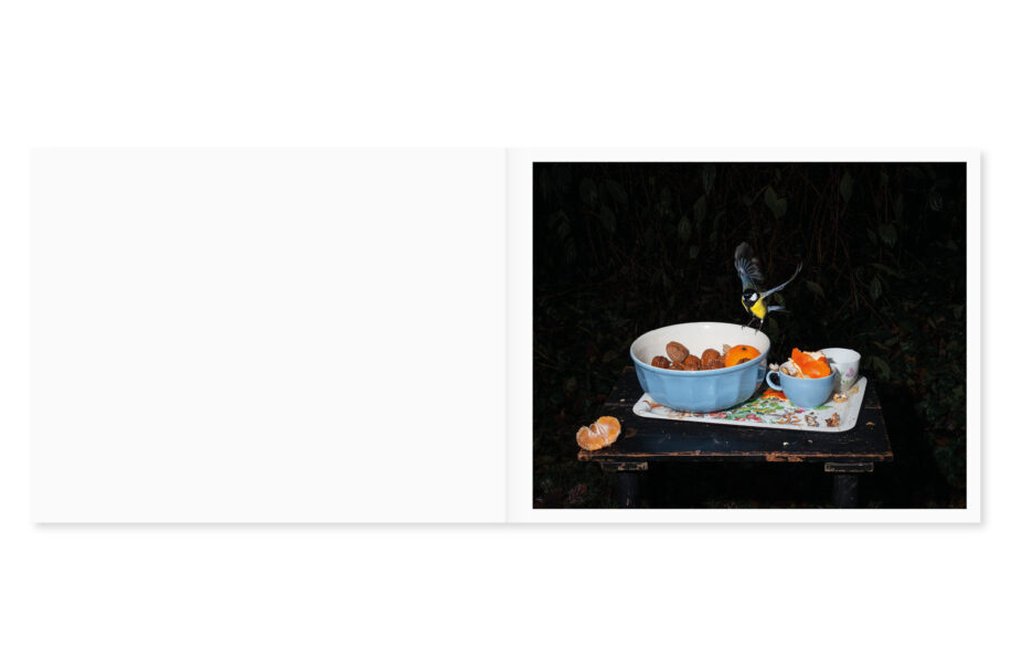 cc_lia-darjes_wildstrucke-7-scaled