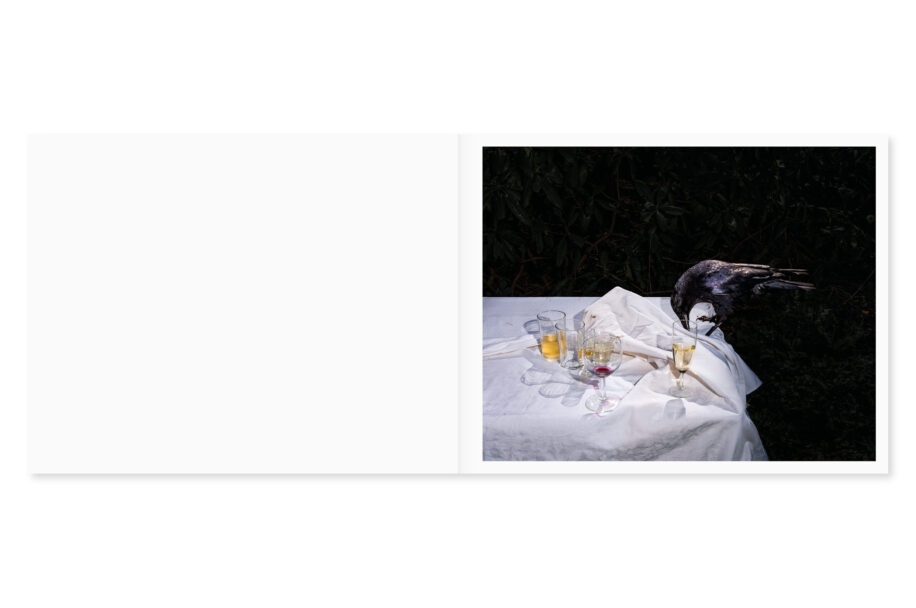 cc_lia-darjes_wildstrucke-8-scaled