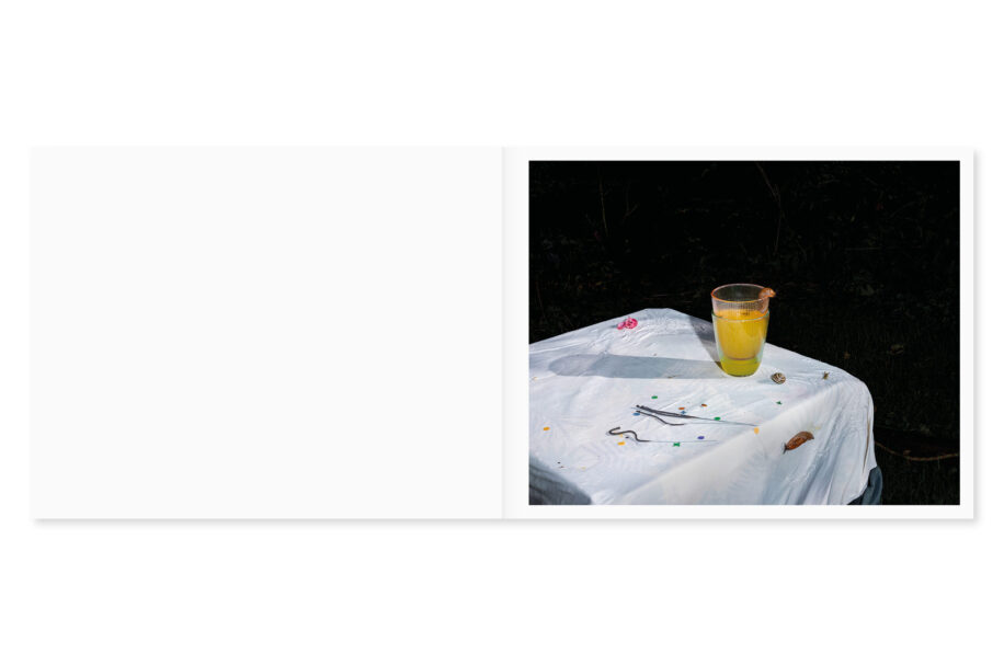 cc_lia-darjes_wildstrucke-9-scaled