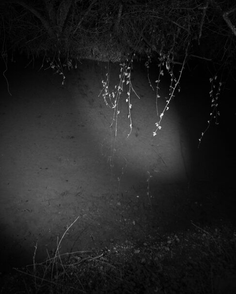 Fosso_S2_09_DSC00853