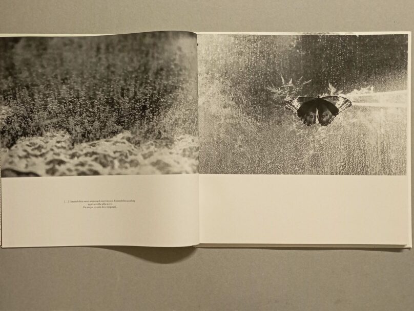 IMG_20241008_171316_1