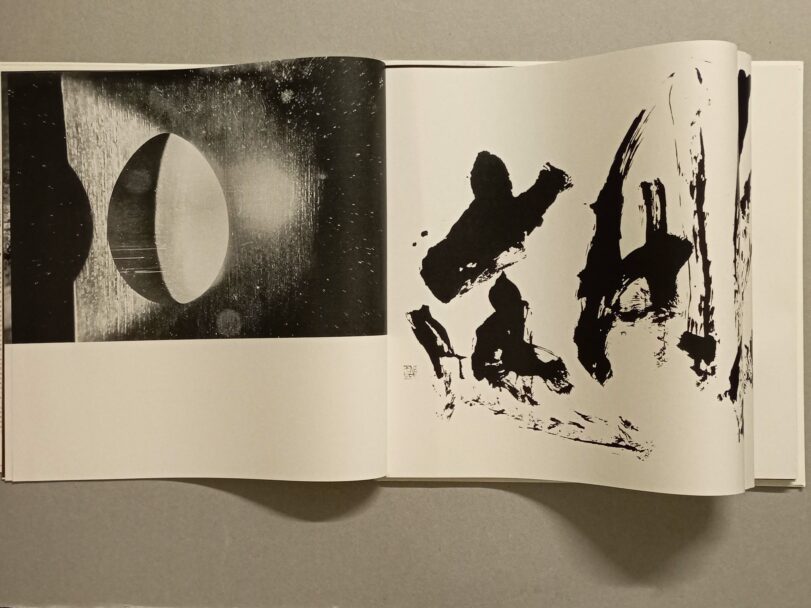 IMG_20241008_171346_1