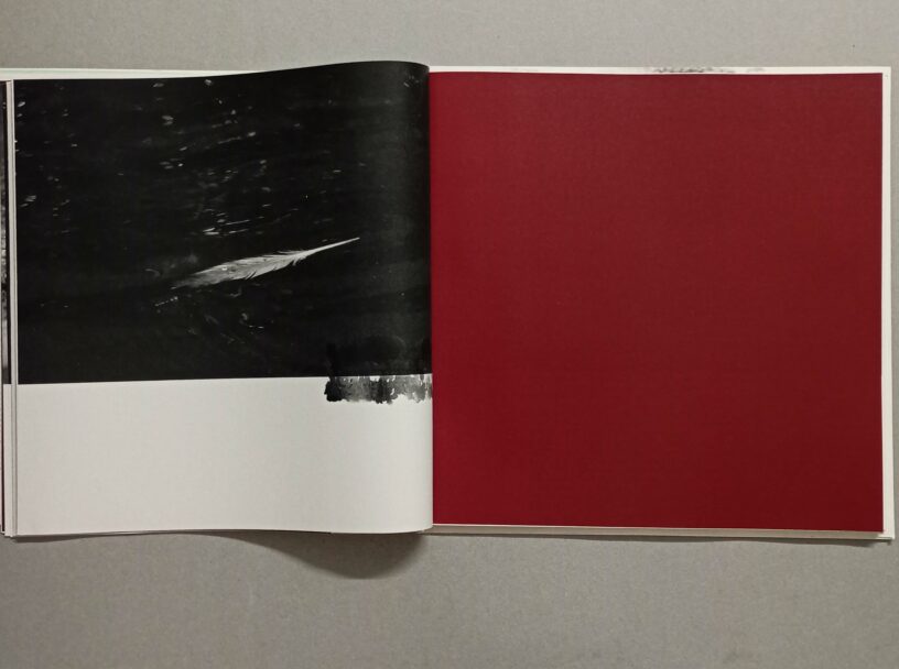 IMG_20241008_171357_1