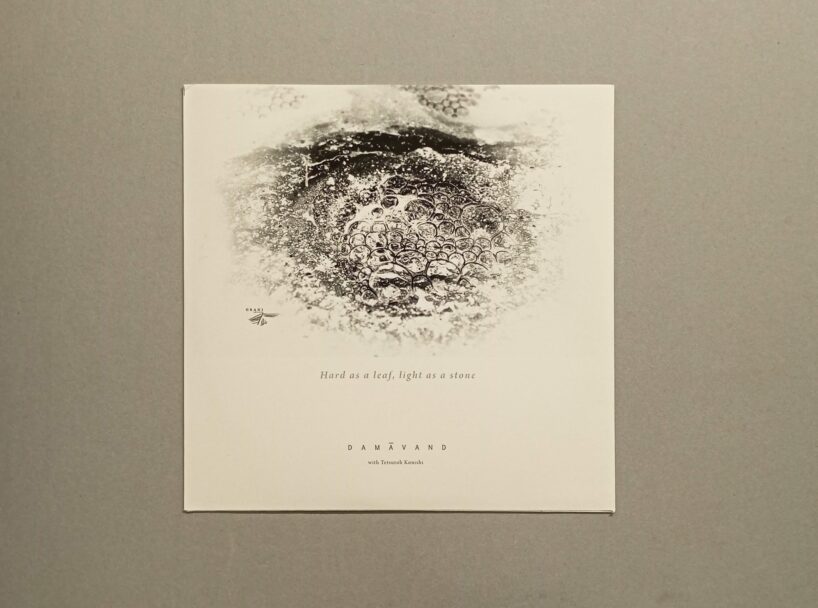 IMG_20241008_171509_1