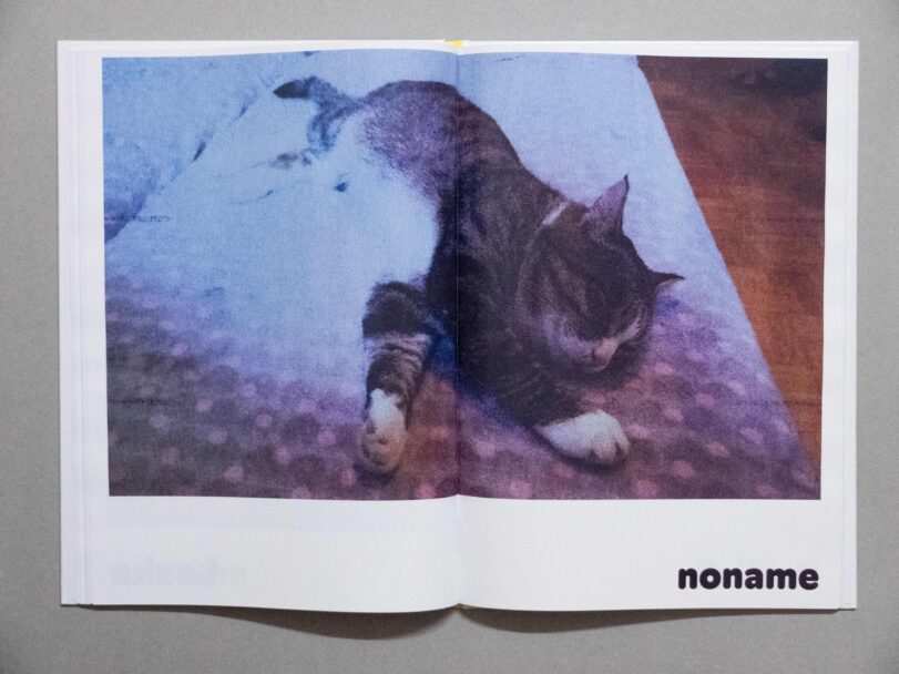 PAUL - Sofia7751 (1)