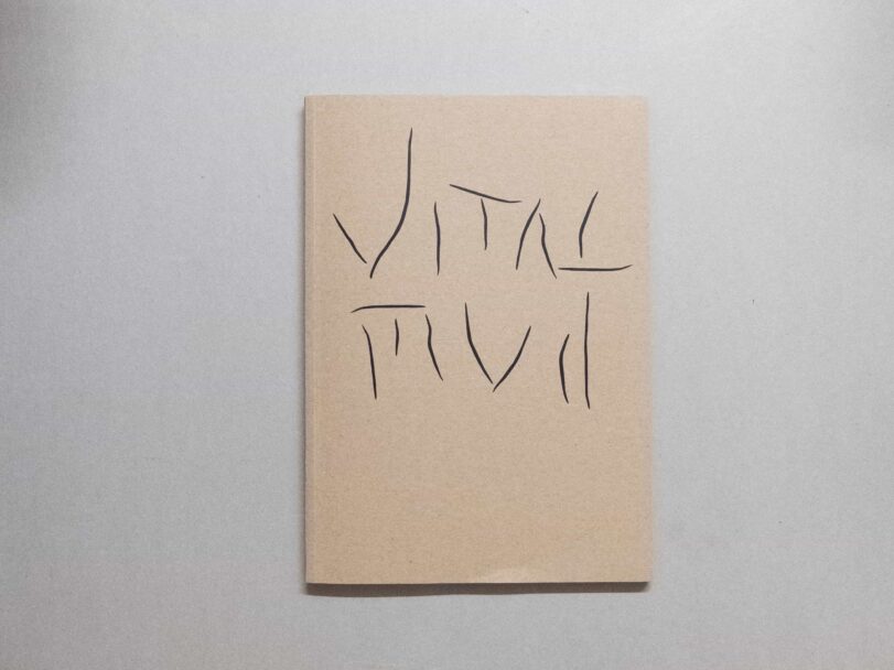 Vital Mud - Sofia7527